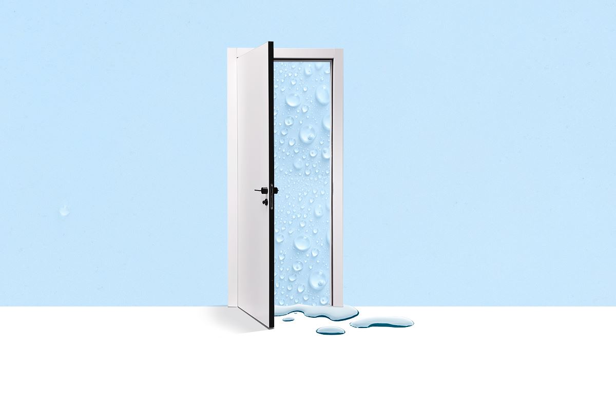 לחיצה להגדלת תמונה דלתות פנים חמדיה הייליין