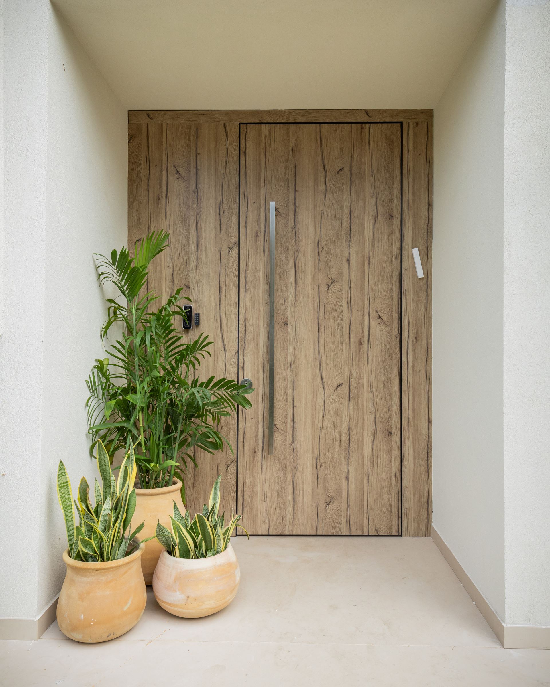 דלת הורייזן קו אפס